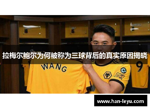 拉梅尔鲍尔为何被称为三球背后的真实原因揭晓