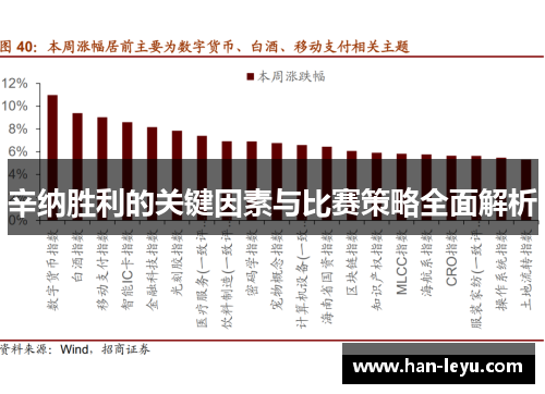 辛纳胜利的关键因素与比赛策略全面解析
