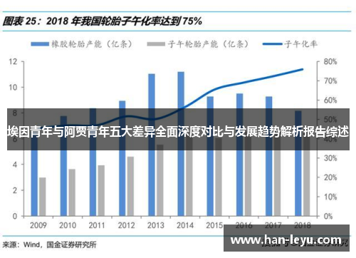 埃因青年与阿贾青年五大差异全面深度对比与发展趋势解析报告综述