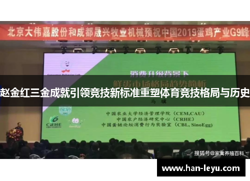 赵金红三金成就引领竞技新标准重塑体育竞技格局与历史